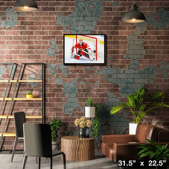 Sergei Bobrovsky 20" x 29" Framed Canvas Panthers 31.5" x 22.5"